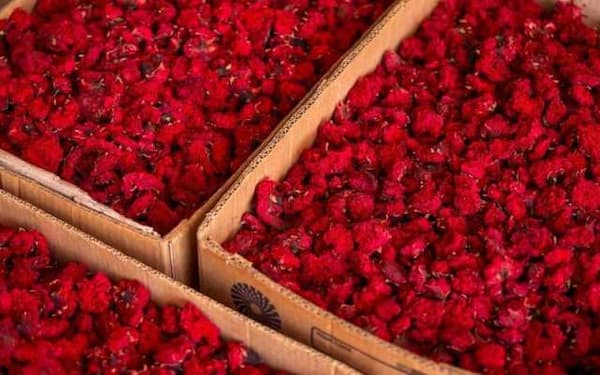 تصویر 1 از فروش گلنار فارسی برای دندان + قیمت خرید به صرفه